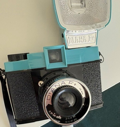 Kamera diana inkl blitz - inkl.,