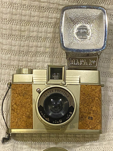 Lomographic society diana - lomographic,